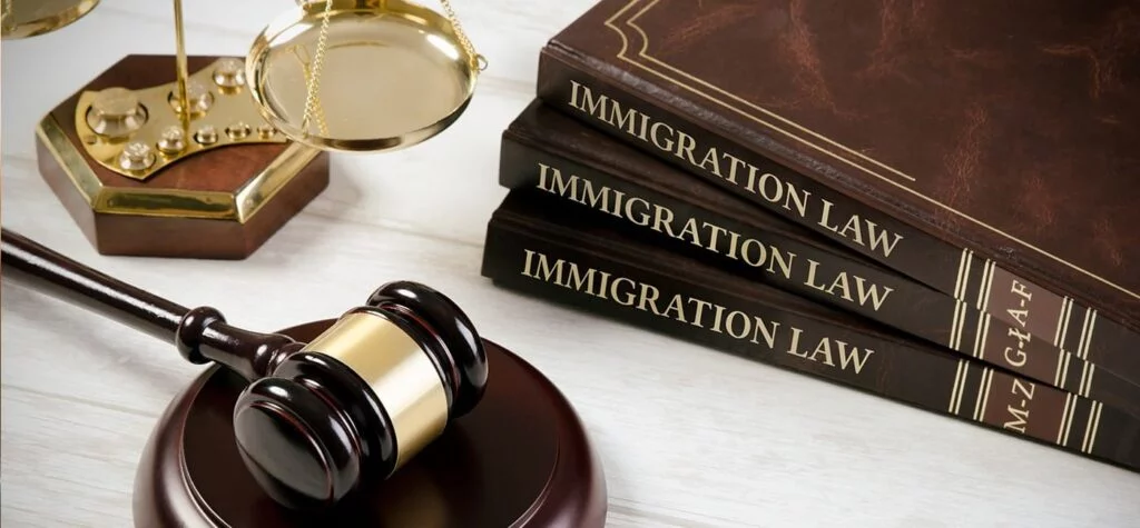 NYC Immigration Appeals Lawyer - Rusu Law