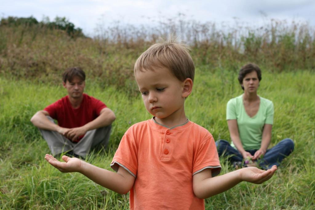 What not to say in child custody mediation?