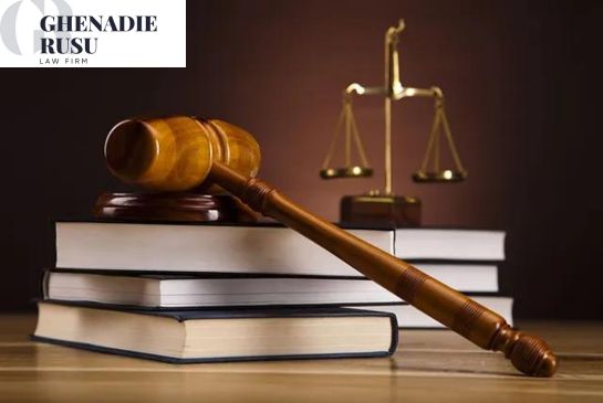 What Does an Immigration Lawye­r Do? - Law Office of Ghenadie Rusu