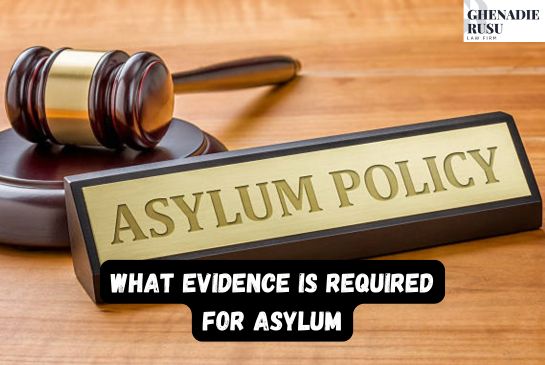 What Evidence is Required for Asylum? 2026 Detailed Guide
