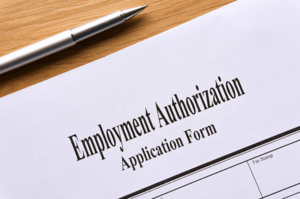 Employment Authorization